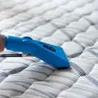 Business 1 image SPEEDY CARPET CLEANERS Upholstery in Melbourne* VIC