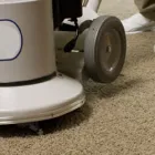 Business 2 image SPOTLESS CARPET CLEANING ADELAIDE Carpet Cleaning & Protection in Adelaide SA