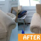 Business 2 image SPOTLESS UPHOLSTERY- UPHOLSTERY CLEANING ADELAIDE Commercial & Industrial Cleaning Services in Adelaide SA