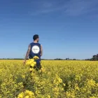 Business 2 image SQUAREPEG MOVERS stylist transport in Moorabbin VIC