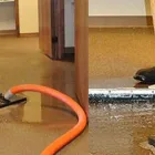 Business 1 image SQUEAKY CLEAN CARPET - WATER DAMAGE RESTORATION MELBOURNE Carpets & Rugs--Oriental & Handmade in Melbourne VIC