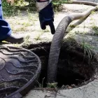 Business 4 image SUNSHINE COAST SEPTIC Commercial & Industrial Cleaning Services in Gold Coast MC QLD