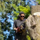 Business 1 image SUNSHINE COAST TREE LOPPING CALOUNDRA Tree & Stump Removal Services in Caloundra QLD