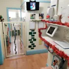 Business 3 image SUNSHINE EARLY LEARNING CENTRE Early Learning in Five Dock NSW