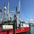 Business 4 image SUNSHINE POWDER COATINGS Trucking Company in Kunda Park QLD