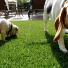 Business 8 image SUPERIOR ARTIFICIAL TURF SUPPLIES Turf & Lawn Suppliers in Applecross WA