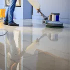 Business 2 image SUPERIOR CARPET CARE Home Cleaning in Cheltenham VIC