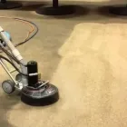 Business 4 image SUPERIOR CARPET CARE Home Cleaning in Cheltenham VIC