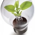 Business 1 image SURFSIDE ELECTRICAL (WA) TV Points Data Cabling in Secret Harbour WA