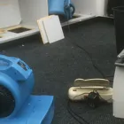 Business 3 image SYDNEY CARPET CLEANING AND RESTORATION Electricians & Electrical Contractors in Dural NSW