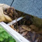 Business 1 image SYDNEY GUTTER CLEAN Gutter Repairs in Crows Nest NSW