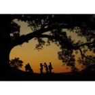 Business 2 image SYDNEY PHOTOGRAPHIC WORKSHOPS studio photography workshop in Alexandria NSW