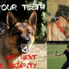 Business 3 image TACTICAL TRAINING (AUST) PTY LTD Security Training Services in Tranmere SA