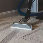 Business 1 image TARGET CARPET CLEANING SYDNEY Cleaning Steam Carpet Cleaning in Sydney NSW
