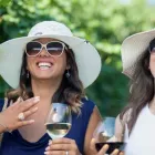 Business 6 image TASTES OF THE HUNTER WINE TOURS Winery Tours in Sydney NSW