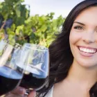 Business 12 image TASTES OF THE HUNTER WINE TOURS Winery Tours in Sydney NSW