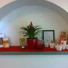 Business 4 image TAYLOR DR CHANTAL Chiropractor in Bendigo VIC
