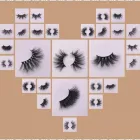 Business 1 image THE BEST LASH VENDORS Manufacturing Engineers in Surry Hills NSW