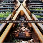 Business 2 image THE CROSSING COUNSELLING SERVICES Trauma Counselling in Oatlands NSW