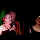 Business 2 image THE ELEMENTALS Entertainment Promoters & Consultants in Sydney NSW