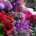 Business 1 image THE FLOWER ROOM Flowers Online Delivery in Newtown NSW