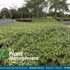 Business 4 image THE PLANT MANAGEMENT COMPANY Landscaping & Landscape Design in Tingalpa QLD
