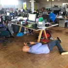 Business 2 image THE ROYALS We are the most interested agency in the world in Surry Hills NSW