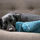 Business 5 image THE SCRUB STORE Medical Supplies in Wyong NSW