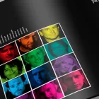 Business 2 image THE SOLID STATE Advertising Media Representatives in Surry Hills NSW