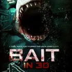 Business 1 image THE SOLID STATE Trailers in Milton QLD