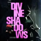 Business 4 image THE SOLID STATE Trailers in Milton QLD