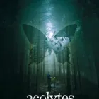 Business 6 image THE SOLID STATE Trailers in Milton QLD