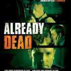 Business 4 image THE SOLID STATE Advertising Media Representatives in Surry Hills NSW