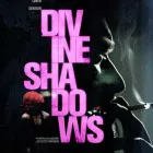 Business 9 image THE SOLID STATE Advertising Media Representatives in Surry Hills NSW