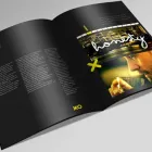 Business 12 image THE SOLID STATE Advertising Media Representatives in Surry Hills NSW