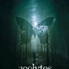 Business 13 image THE SOLID STATE Advertising Media Representatives in Surry Hills NSW