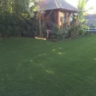 Business 6 image THE SYNTHETIC GRASS PROJECT Landscape Supplies in Cheltenham VIC