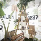 Business 6 image THE URBAN ALCHEMIST remedial massage fitzroy north in Carlton North VIC