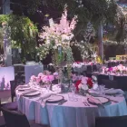 Business 5 image THE VENUE ALEXANDRIA Wedding Venues in Alexandria NSW