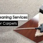 Business 1 image TOMS CARPET CLEANING MELBOURNE Rug Cleaning in Melbourne VIC
