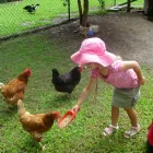 Business 1 image TORAL LODGE CHILD CARE CENTRE Learning Center in Buderim QLD