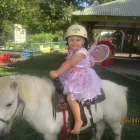 Business 2 image TORAL LODGE CHILD CARE CENTRE Learning Center in Buderim QLD