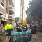 Business 57 image TRANSCORP REMOVALS & STORAGE Storage Facility in Sandringham VIC