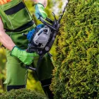 Business 1 image TREE LOPPER APPLECROSS Tree & Stump Removal Services in Applecross WA