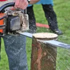 Business 3 image TREE LOPPER APPLECROSS Tree & Stump Removal Services in Applecross WA