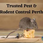 Business 1 image TRUSTED RODENT CONTROL PERTH Pest Control in Perth WA