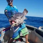 Business 2 image TURQUOISE SAFARIS - SEA LION & FISHING CHARTERS JURIEN BAY Tour Operators in Jurien Bay WA