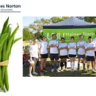 Business 1 image UHY HAINES NORTON Income Tax Association in Adelaide SA