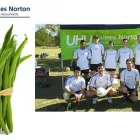 Business 2 image UHY HAINES NORTON Income Tax Association in Adelaide SA