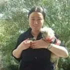 Business 1 image VET ALDINGA Veterinary Surgery in Aldinga SA